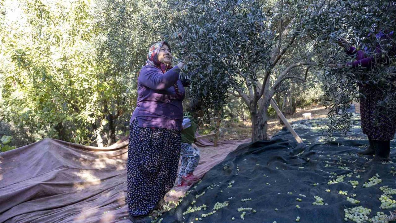 Mersin'de Kadınlar Üretimle Güçleniyor: 9 Bin Kadın Üretici Hedefi