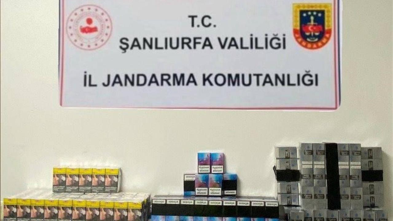 Şanlıurfa’da Kaçakçılık Operasyonu: 3 Bin Paket Sigara Ele Geçirildi