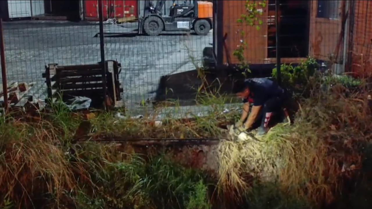 İskenderun'da Su Kanalına Düşen Kedi Kurtarıldı