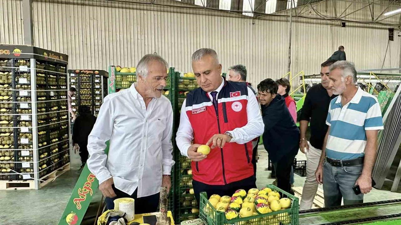 Hatay'da Limon İhraç Eden Firmalara Denetim Yapıldı