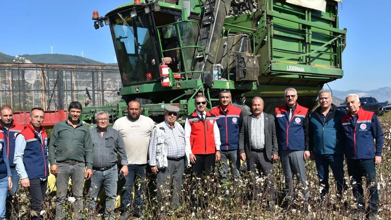 Söke'de Pamuk Hasadı Devam Ediyor