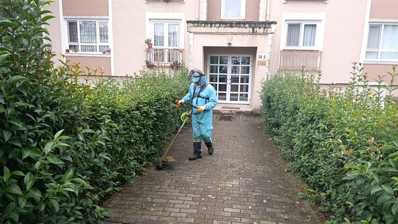 Başiskele'de Yeşil Alan Bakım Çalışmaları Devam Ediyor