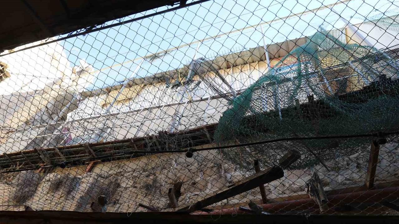 El Halil’de Filistinlilere Yahudi Tacizi: "Kafes" Altında Yaşıyoruz