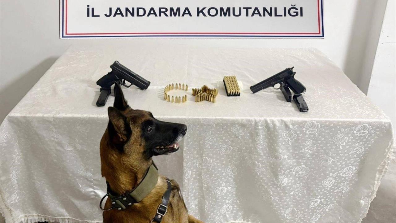 Şanlıurfa’da Silah Kaçakçılığı Operasyonu: 8 Gözaltı