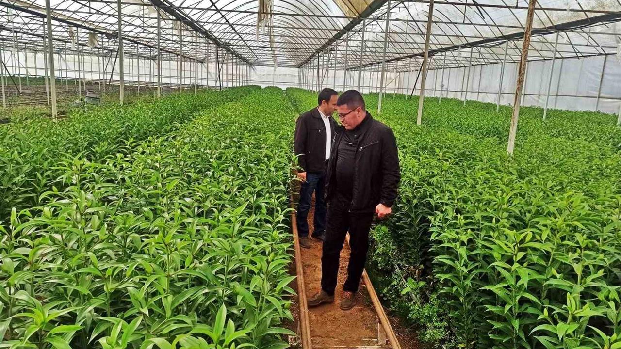 Kütahya'da Üreticilere Yönelik Teknik Gezi Düzenlendi