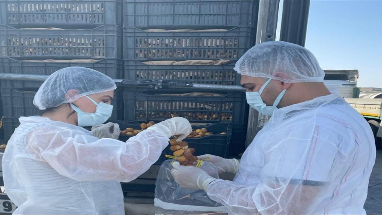 Şırnak'ta Hurma İthalatına Sıkı Denetim Yapıldı