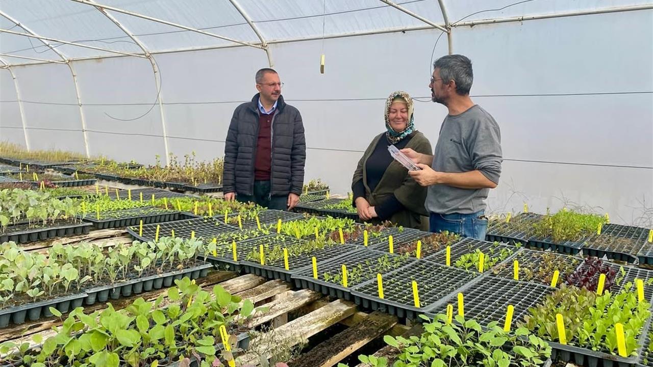 Kadın Çiftçiler Üretime Destek Veriyor: Kırklareli'den Örnekler