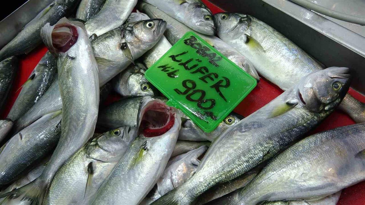 Çanakkale'de Lüfer Bolluğu: Fiyatlar 900 Lira