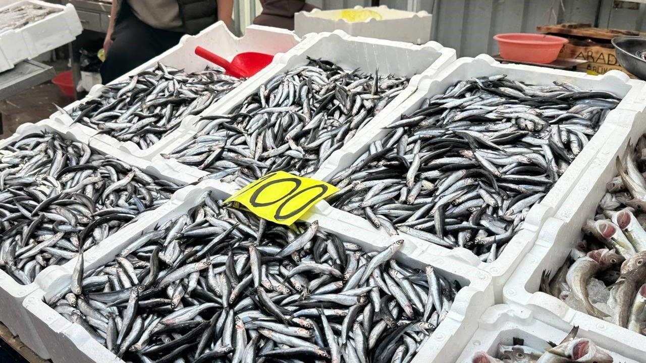 Zonguldak'ta Tezgahlar Hamsiyle Doldurdu: Fiyat 100 Lira