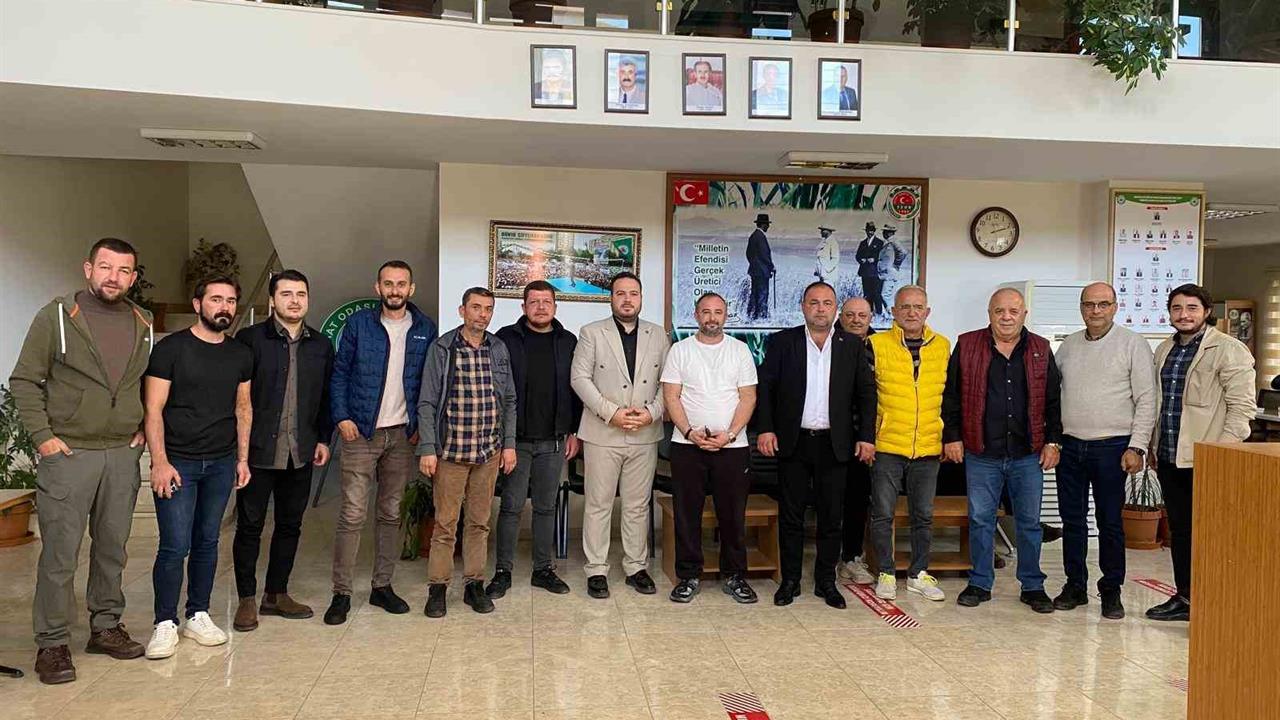 Bursa'da Zeytin Üretim Maliyeti Açıklandı