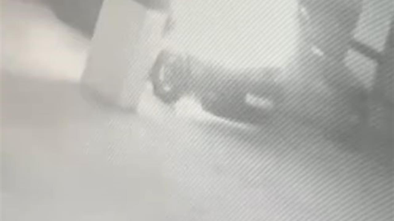 Beylikdüzü'nde Park Halindeki Araç Alev Alev Yandı