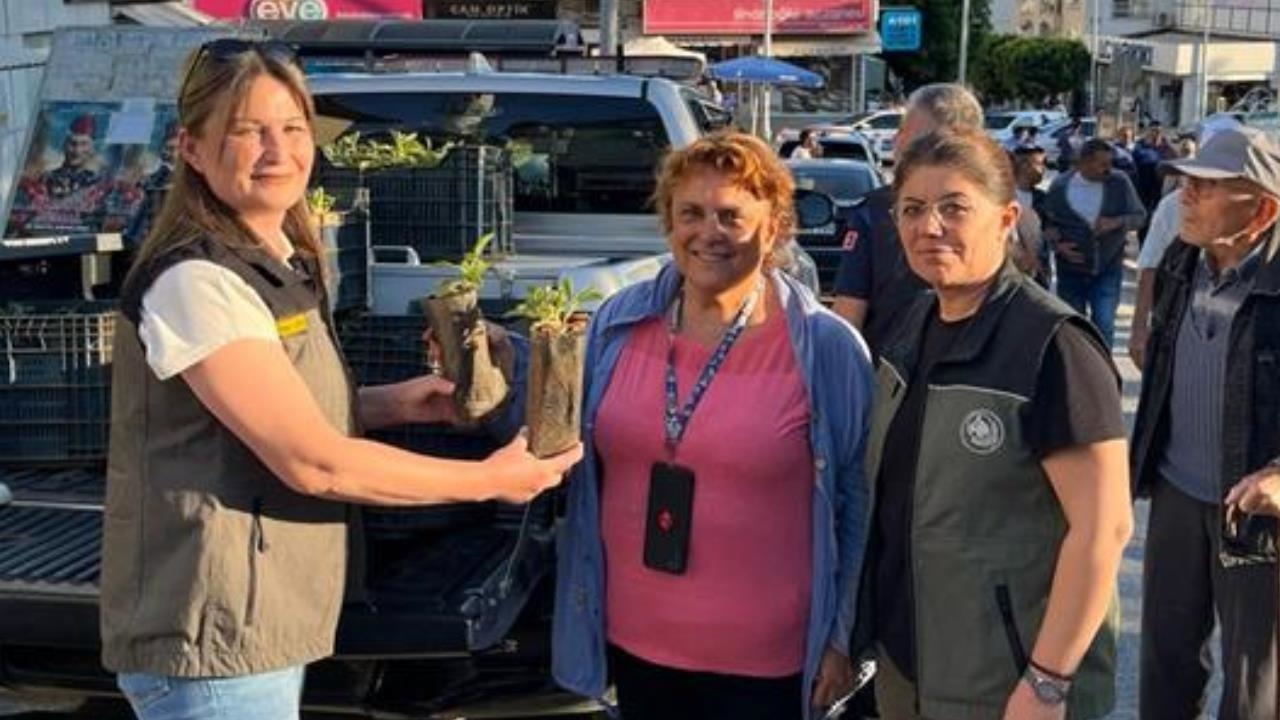 Anamur’da Üretimin ve Bereketin Simgesi Adına Dağ Çayı Fidanı Dağıtıldı