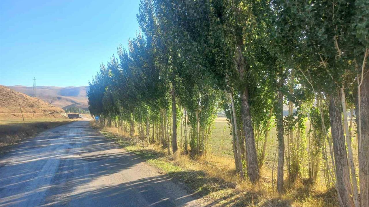 Bayburt'ta Fidan Kesimine Tepki: "Hakkımızı Savunuyoruz"