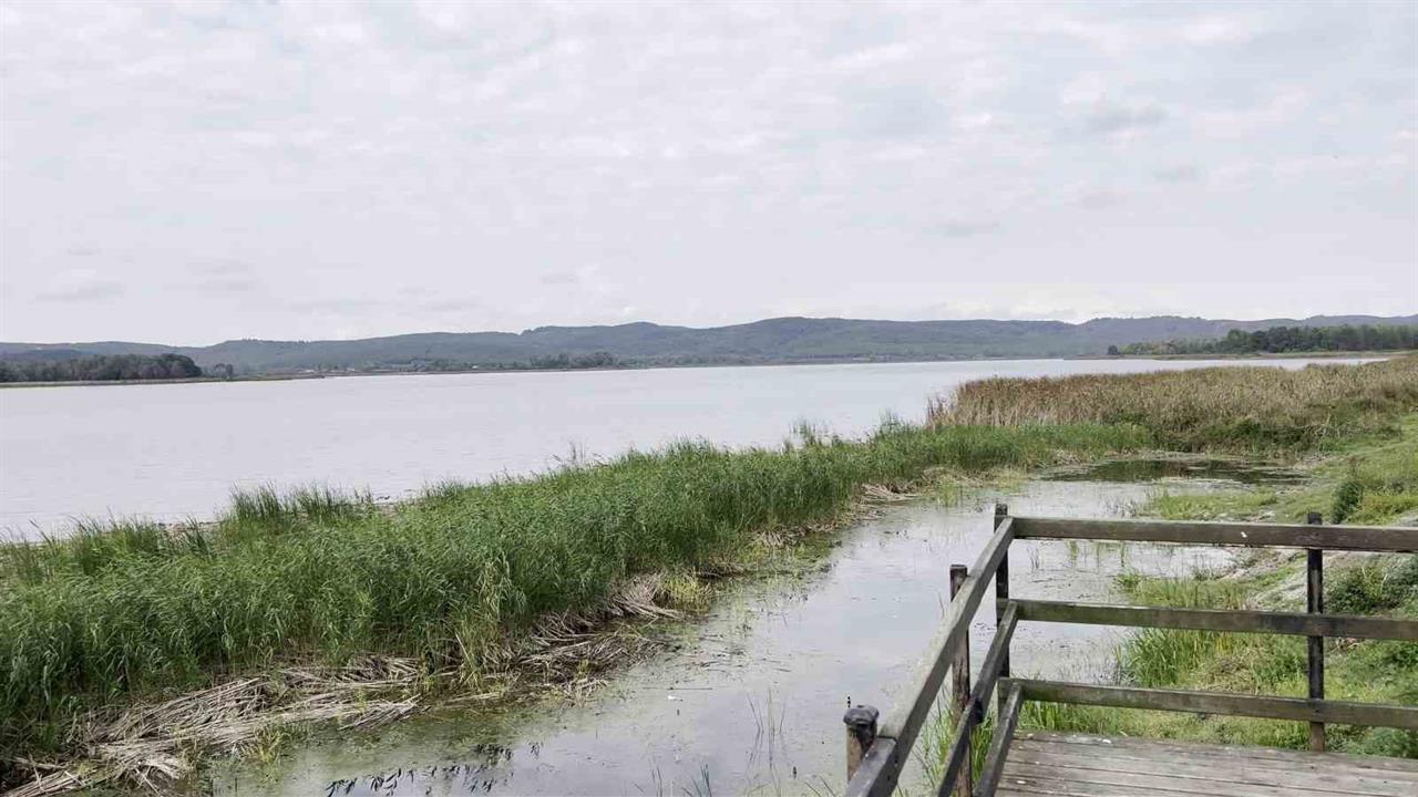 Sakarya'da Alüvyon Set Gölü Su Seviyesi Alarm Veriyor