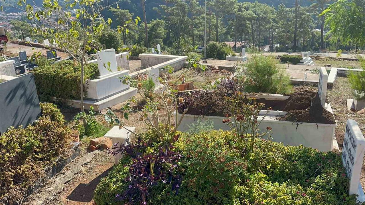 Marmaris'te Yaban Domuzları Mezarlıklara Saldırıyor