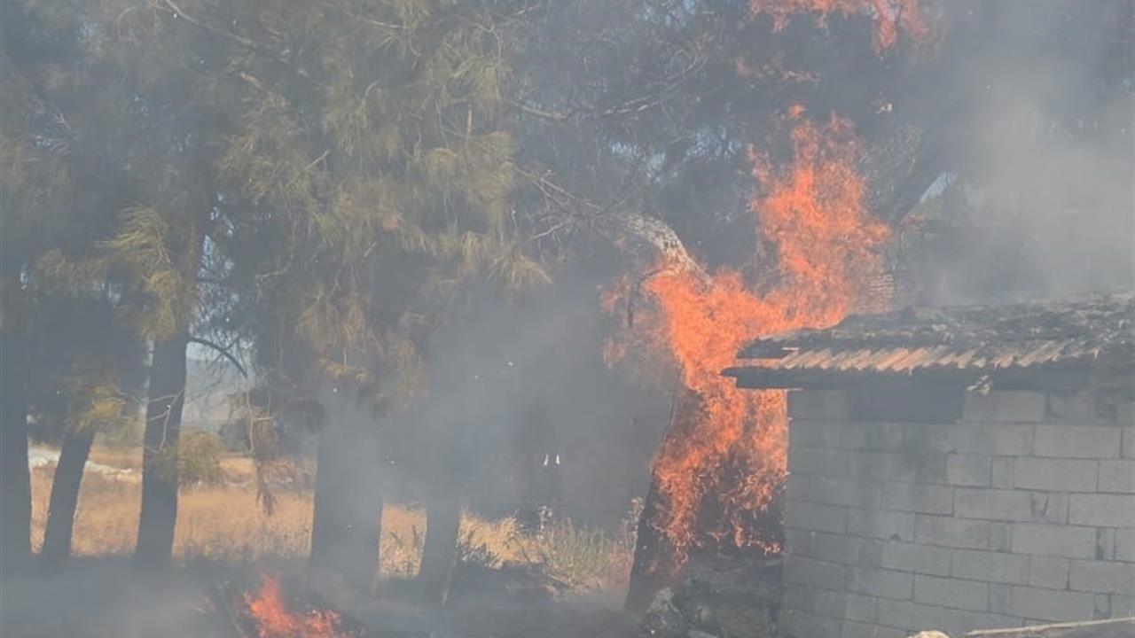 Bucak'ta Odunluk Yangını: İtfaiye Hızla Müdahale Etti