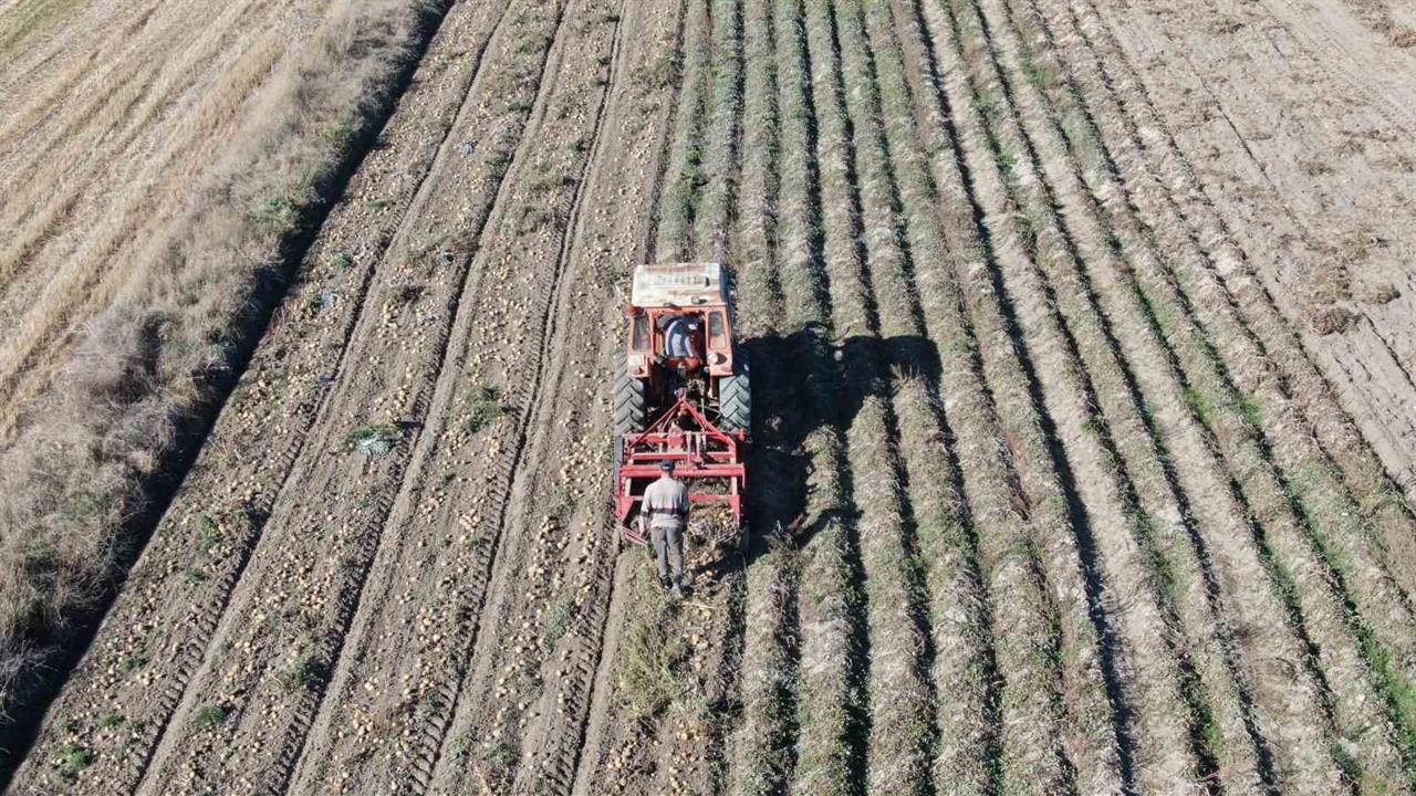 Kastamonu'da Patates Hasadı Devam Ediyor