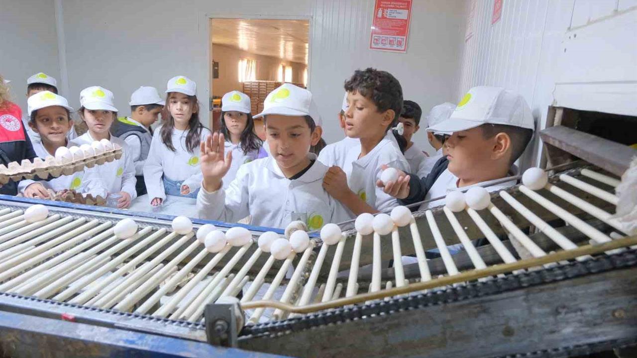 Muş'ta Kooperatifçilik Temalı Tarım Kampı Düzenlendi