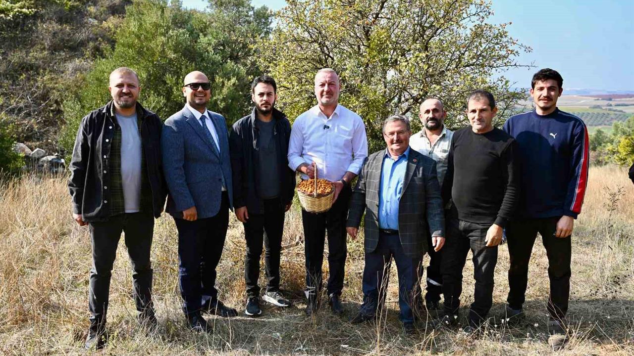 Karacabey'de Alıç Meyvesi Dünyaya Açılıyor