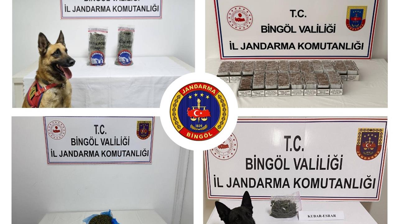 Bingöl'de Jandarma Operasyonu: 2 Tutuklama