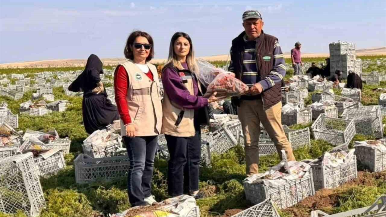 Beypazarı'nda Gıda Güvenliği Denetimleri Sürekli Devam Ediyor