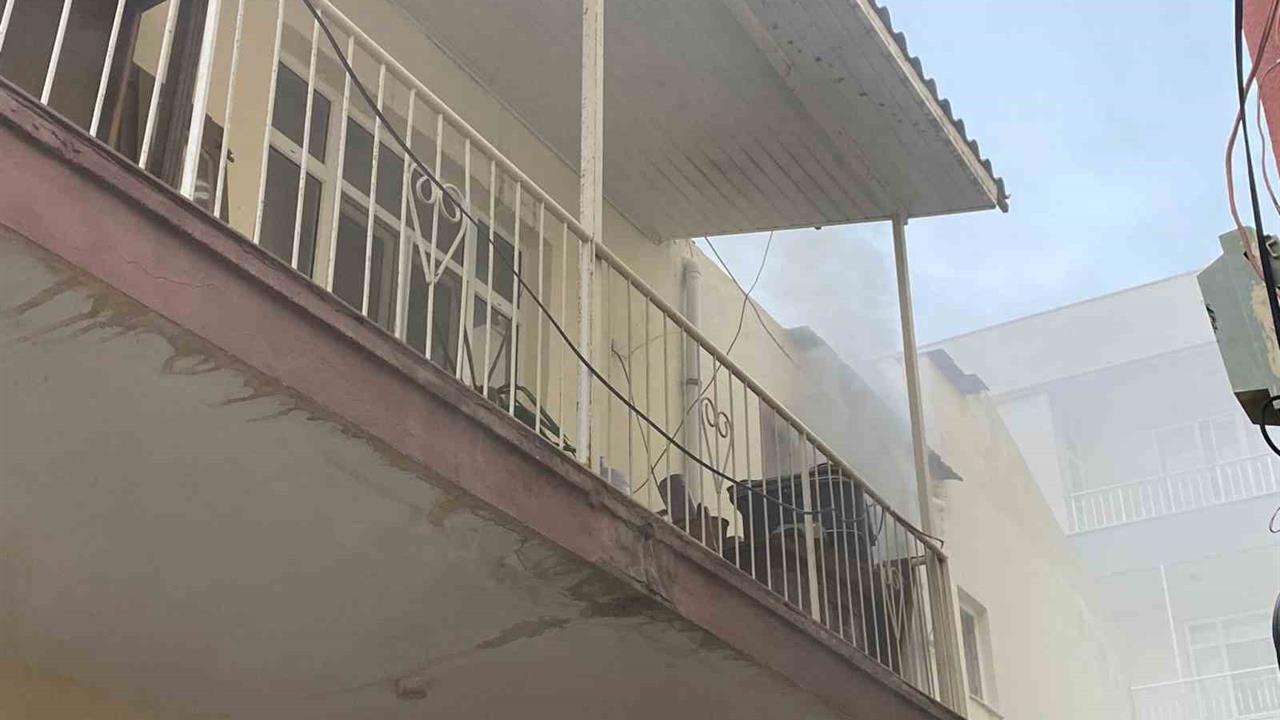 Antalya'da Yangında Kuş Kurtarıldı