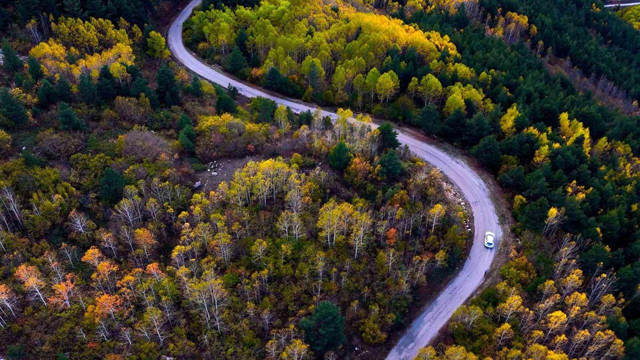 Gümüşhane'de Sonbaharın Güzellikleri Göz Kamaştırıyor