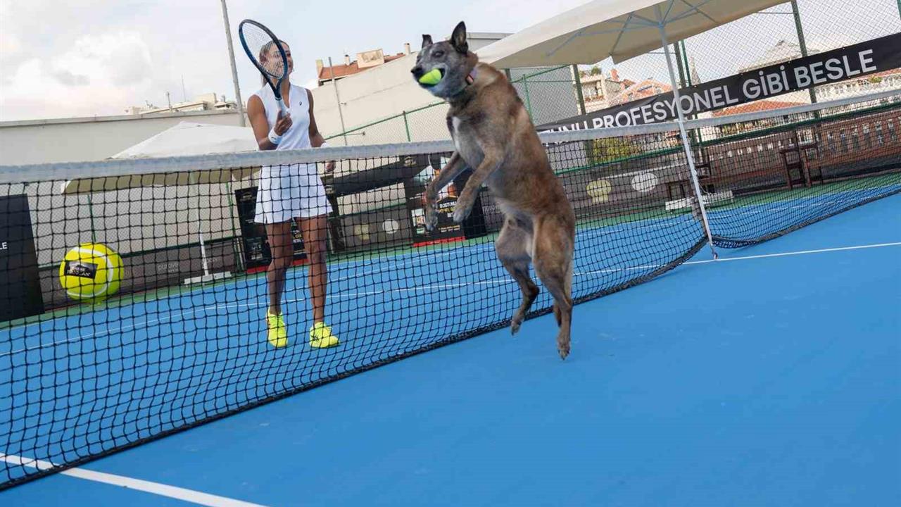 İstanbul'da Tenis Keyfi: Büyükakçay ve Felix Sahne Aldı