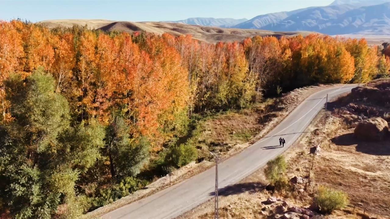 Yüksekova'da Sonbaharın Renk Cümbüşü: Cilo Dağı Etekleri