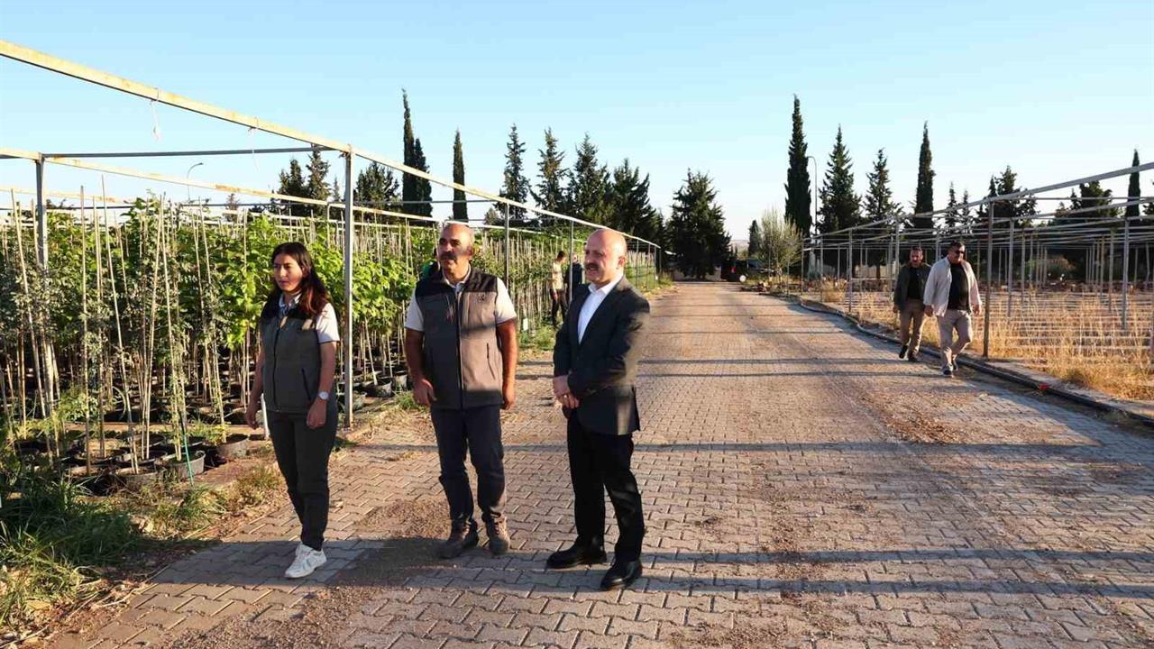 Adıyaman'da Vali Varol'dan Fidanlık Ziyareti