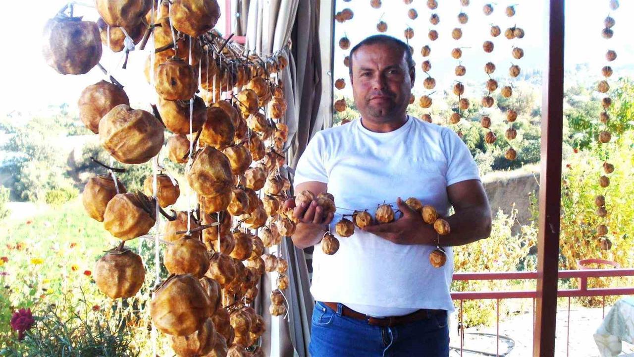 Sarıgöl'de Cennet Elması Hazırlıkları Başladı