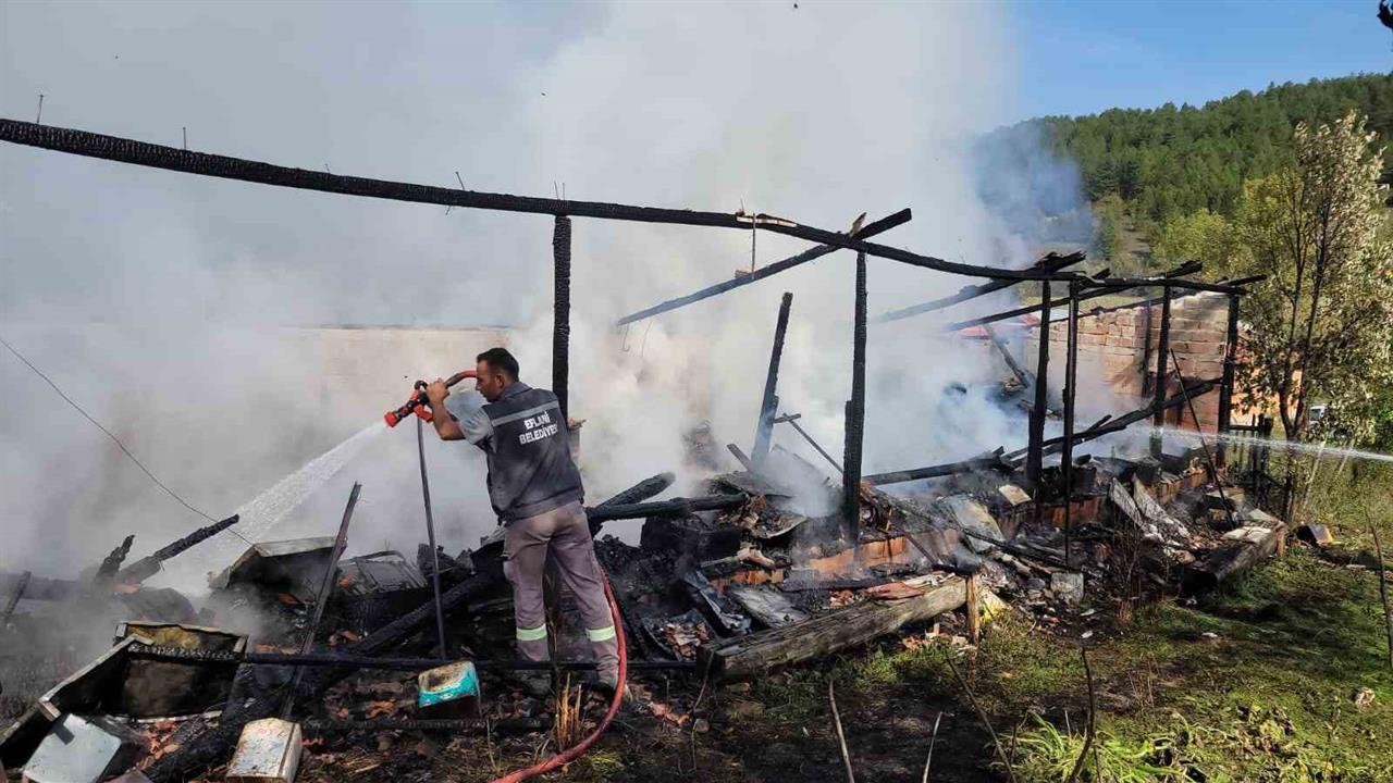 Karabük'te Arı Kovanları Yangında Telef Oldu
