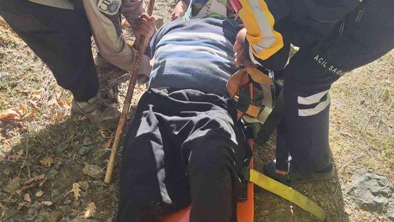 Adana'da Kayalıklardan Düşen Gazinin Kurtarılması