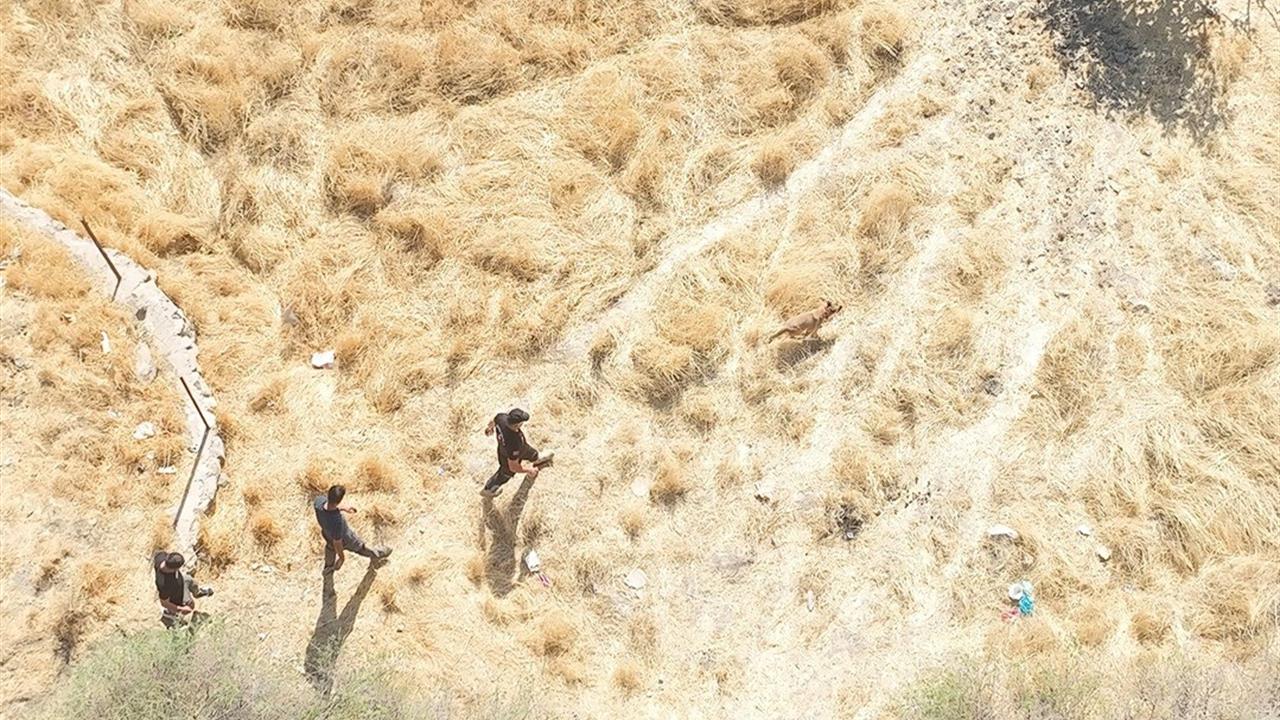 Siirt'te Kayıp Alzheimer Hastası İçin Arama Çalışmaları Devam Ediyor