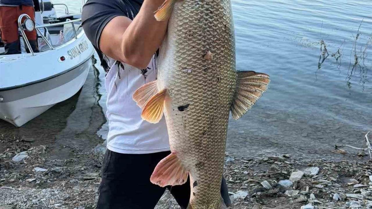 Elazığ'da Balıkçıdan Rekor Turna Yakalama Başarısı