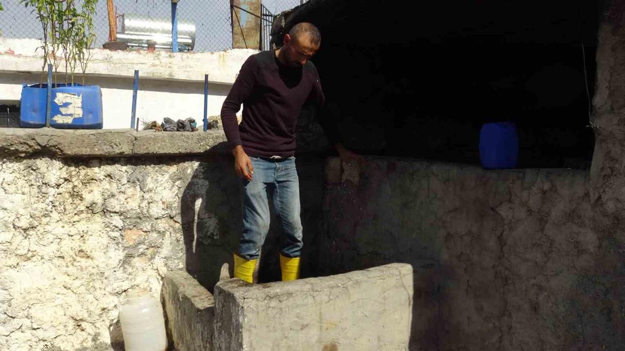 Batman'da Bağbozumu Coşkusu Başladı