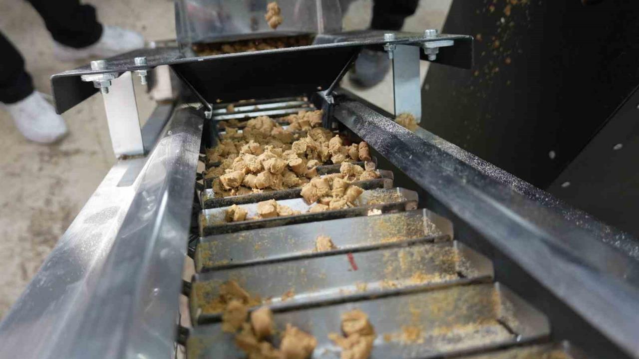 Düzce’de sokak hayvanları için mama üretim tesisi kuruldu