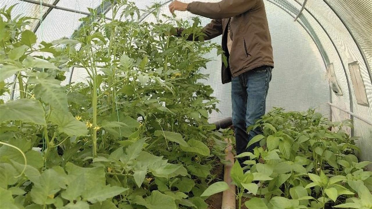 Berberlikten arta kalan zamanını doğaya ayırıyor - AĞRI