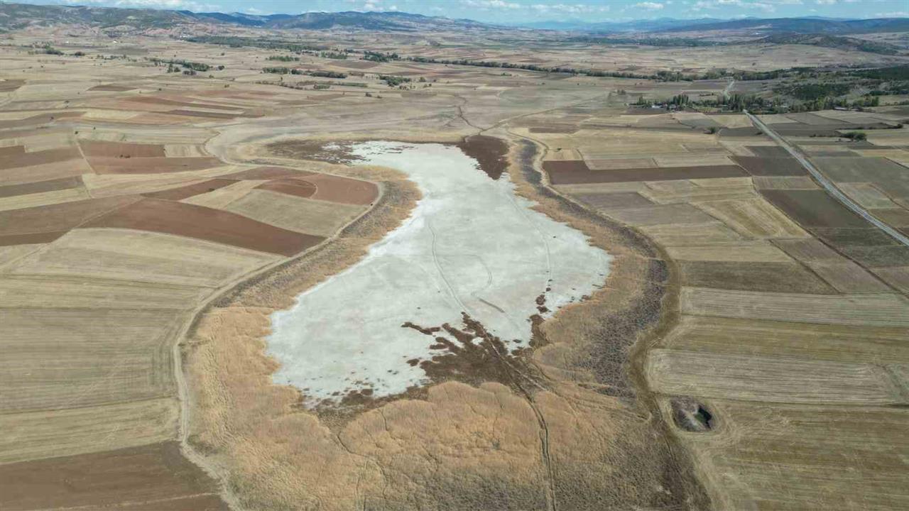 Kuşların dans ettiği Uylubağı göleti kuraklık nedeniyle çorak zemine dönüştü - TOKAT