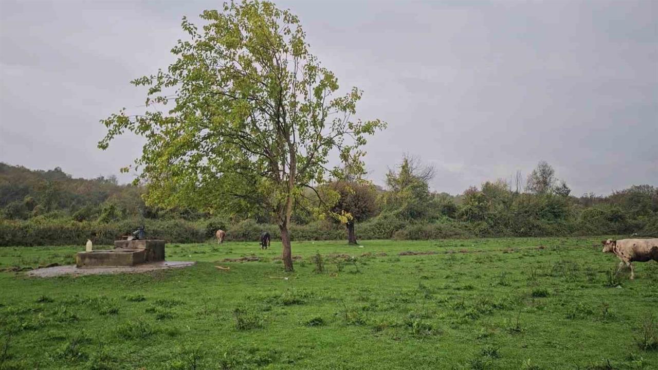 Zonguldak'ta Su Kuyusunda Kadın Cesedi Bulundu