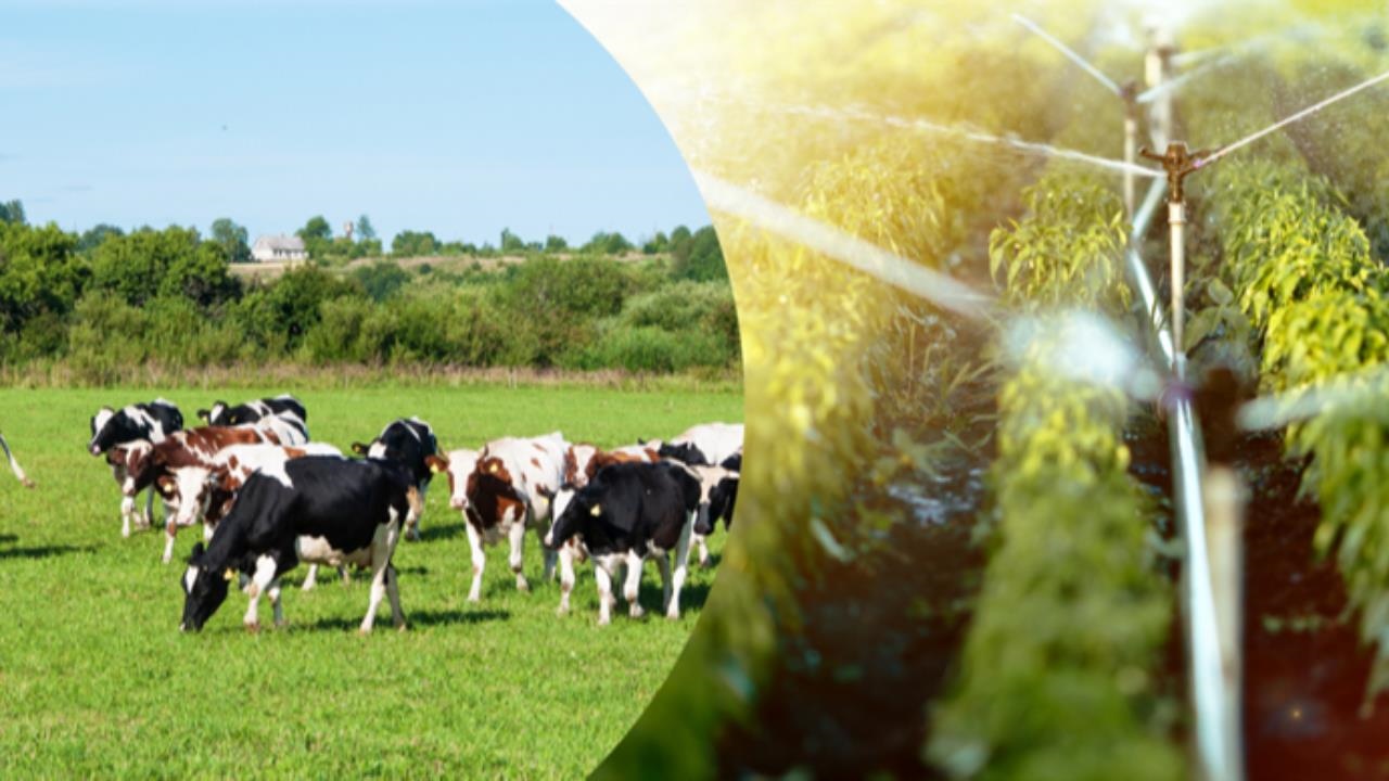 Tarım Bakanlığı'ndan Çiftçilere 471 Milyon Lira Destek Ödemesi