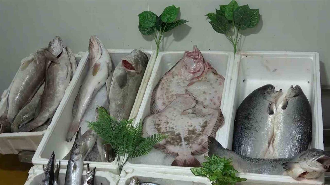 Gaziantep’te Balık Tüketimi Zirveye Ulaştı