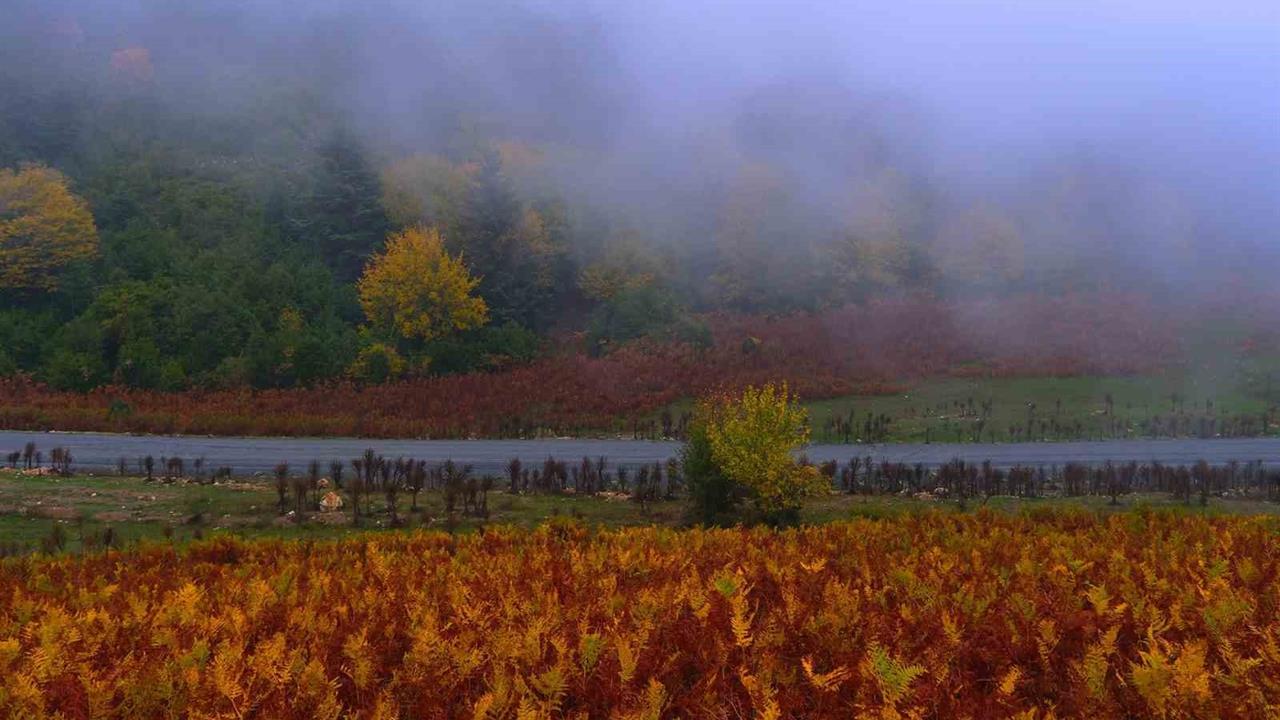 Sisler içindeki vadinin kalbinde doğa yürüyüşü - SAKARYA