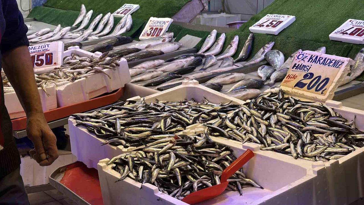 Hamsi, Palamutun Yerini Aldı: Sakarya'da Balık Tezgahlarında Bereket Var