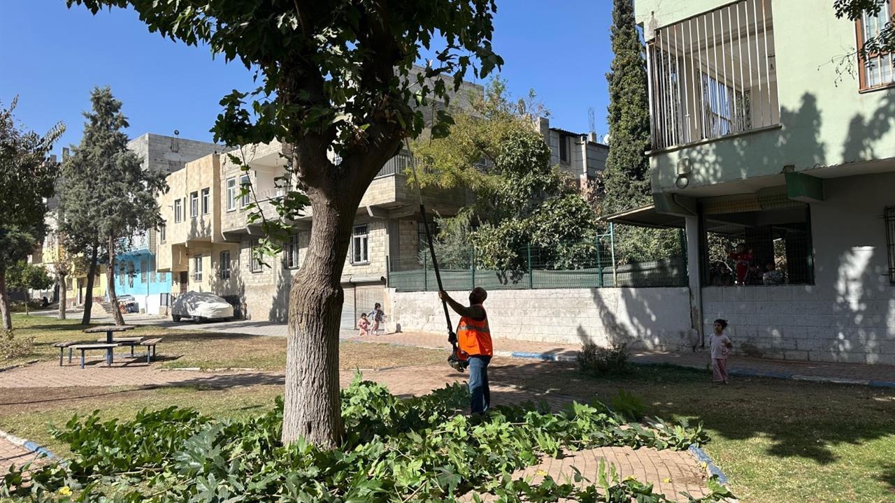 Eyyübiye’deki parklarda sonbahar bakımı - ŞANLIURFA