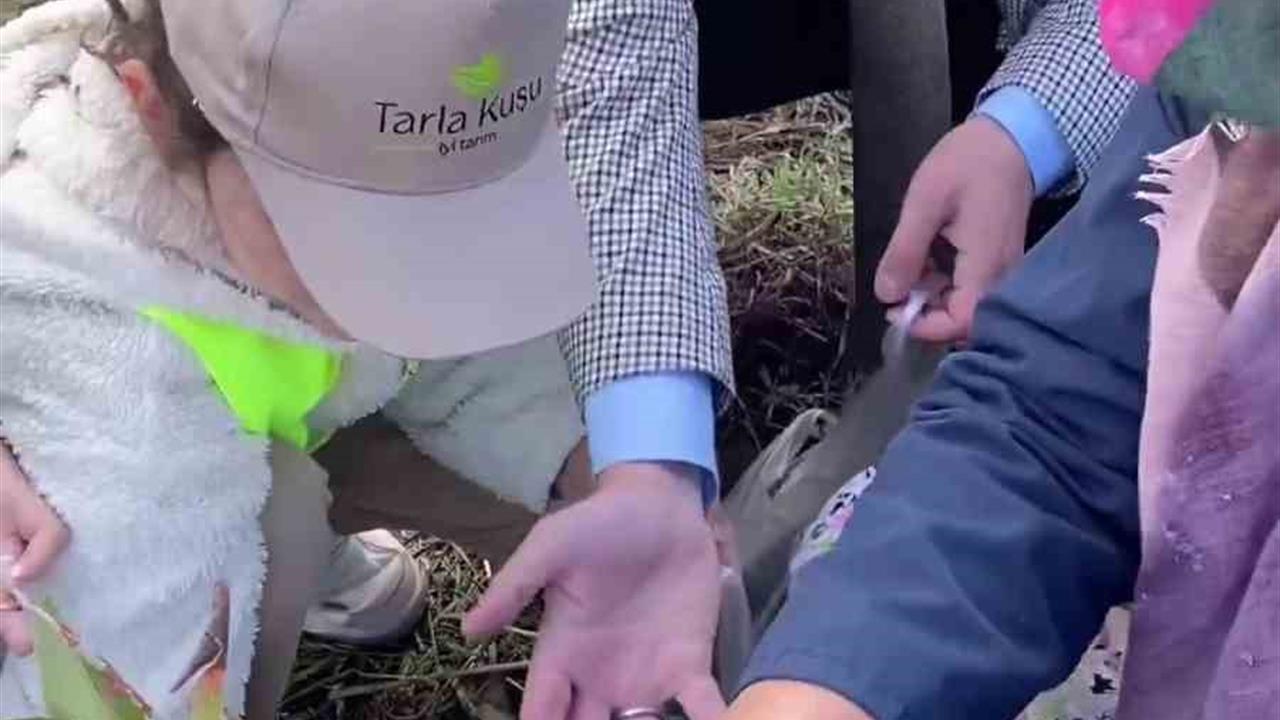 Biga’da öğrencilerle aronya toplama etkinliği - ÇANAKKALE