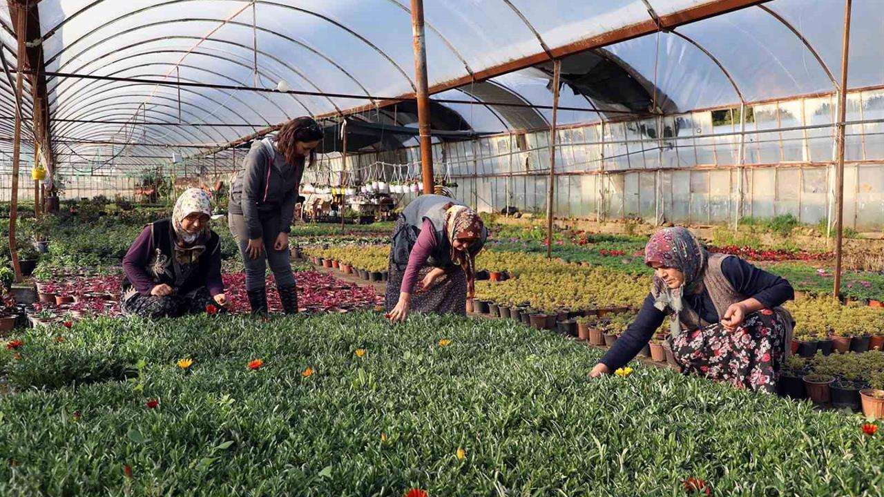 Kadın emeğiyle yerel kalkınma güçlendiriliyor - MUĞLA