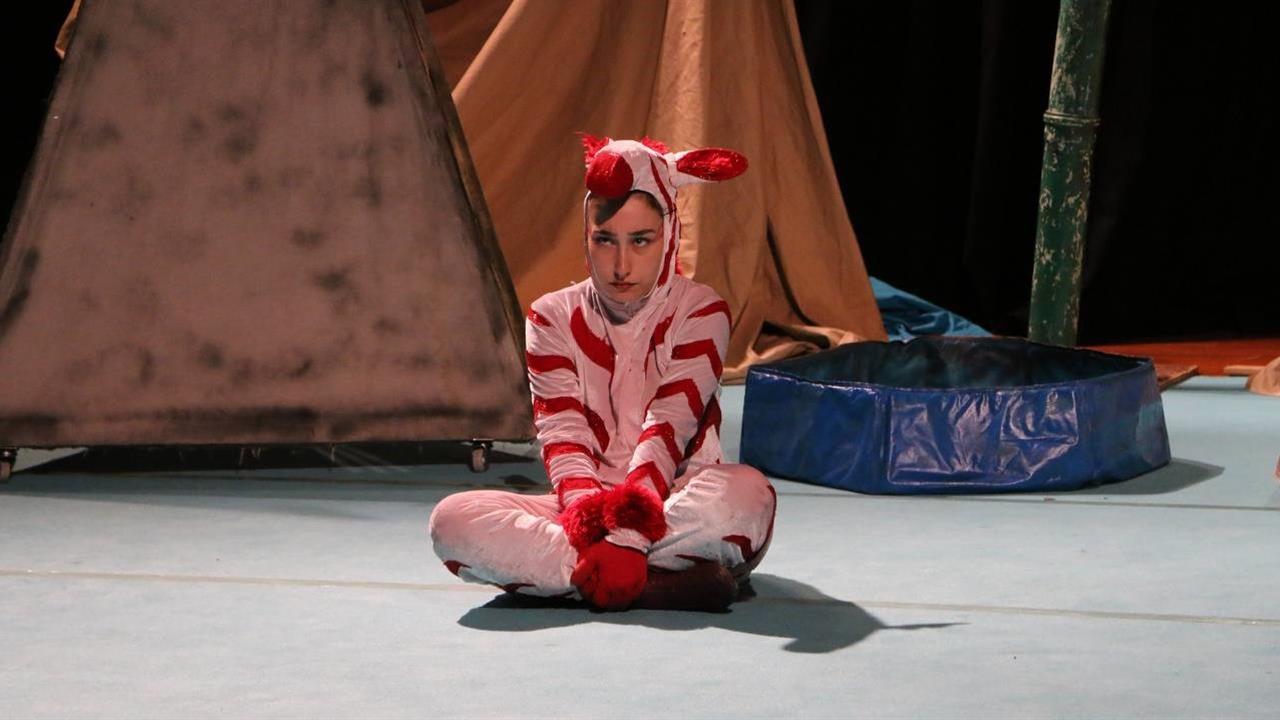 Sakarya'da "Bir Zebra Müzikali" Sahnelendi