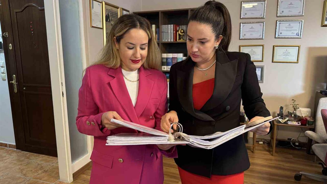 İstanbul'da Kediye Nafaka Protokolü: Emsal Karar