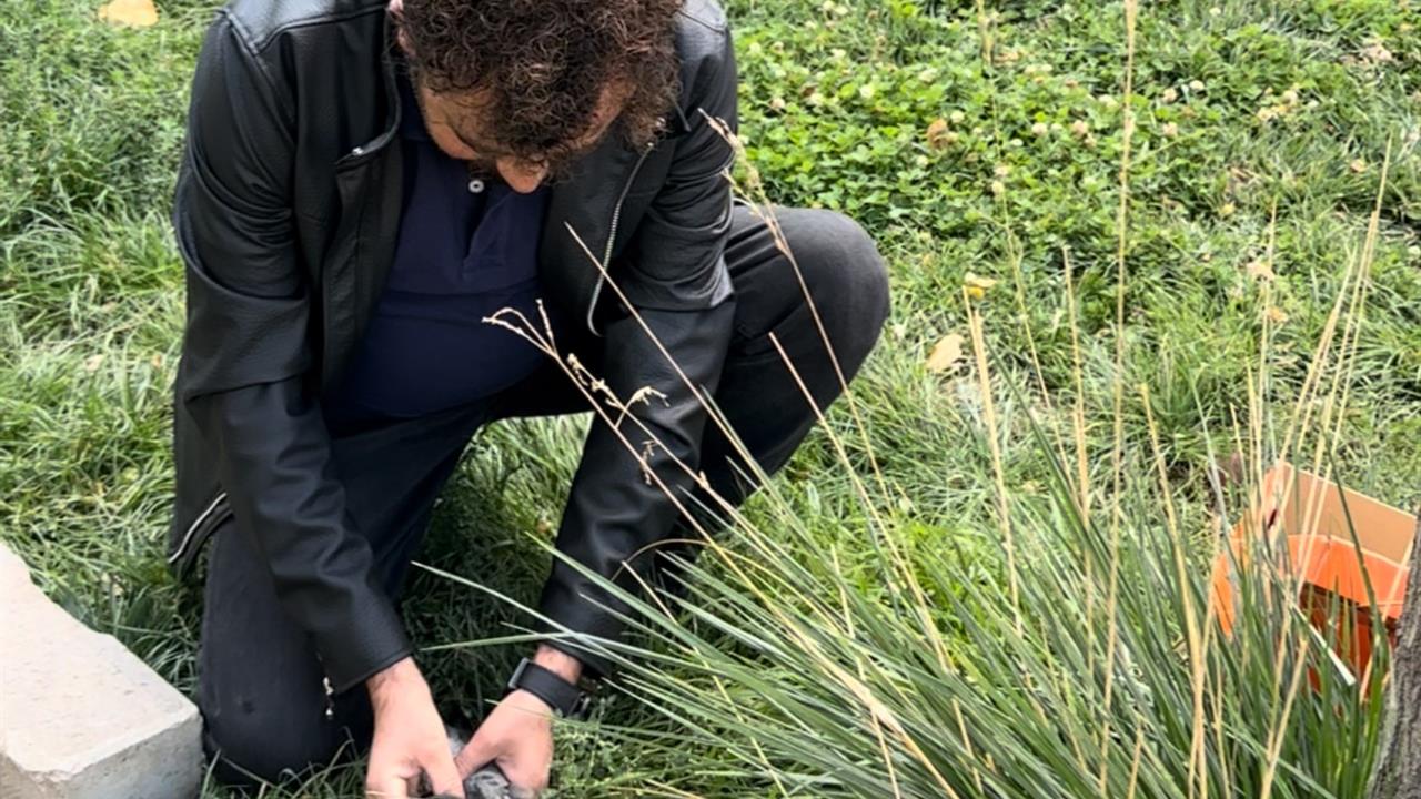 Öğretmenin fark ettiği yaralı güvercin kurtarıldı - HAKKARİ